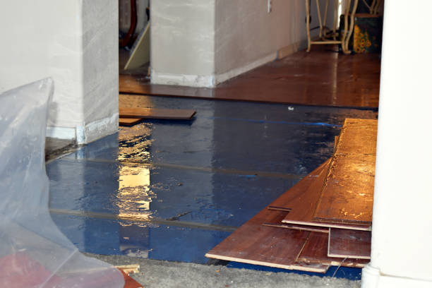 Professional Basement Water Removal technician working in Sun, LA